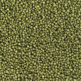 WISBROEK PAPAGAIOS NUT BLEND DAILY SMALL  - 1 KG