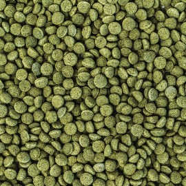 WISBROEK PAPAGAIOS NUT BLEND DAILY LARGE  -3 KG
