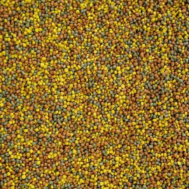 WISBROEK LORY DIET -3 KG