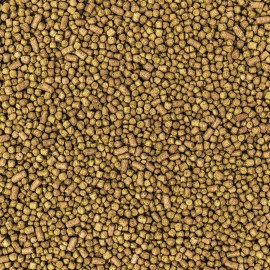 WISBROEK PAPAGAIOS LOW FAT DAILY SMALL - 10 KG