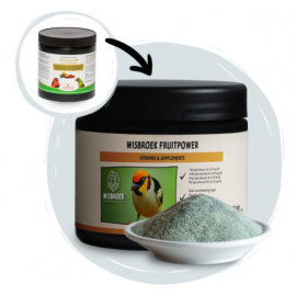 WISBROEK FRUITPOWER - 250G