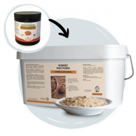 WISBROEK INSECTPOWER - 3KG