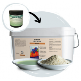 WISBROEK LORY NECTAR - 3KG