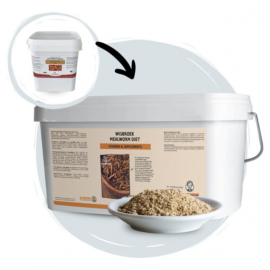 WISBROEK MEALWORM DIET - 3KG