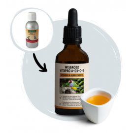 WISBROEK VITAPRO A-D3-E-C - 50ML